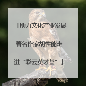 助力文化产业发展 著名作家胡性能走进“彩云英才荟”