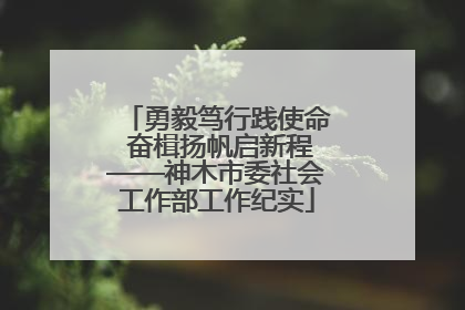 勇毅笃行践使命 奋楫扬帆启新程——神木市委社会工作部工作纪实