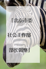 北京市委社会工作部部长调整