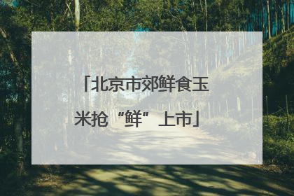 北京市郊鲜食玉米抢“鲜”上市