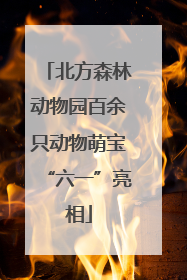 北方森林动物园百余只动物萌宝“六一”亮相