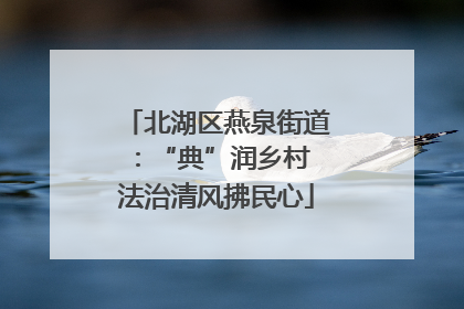 北湖区燕泉街道：“典”润乡村 法治清风拂民心