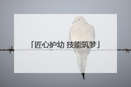 匠心护幼 技能筑梦