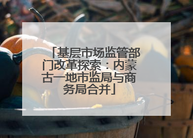 基层市场监管部门改革探索：内蒙古一地市监局与商务局合并