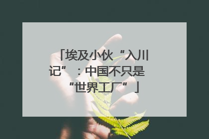 埃及小伙“入川记”：中国不只是“世界工厂”