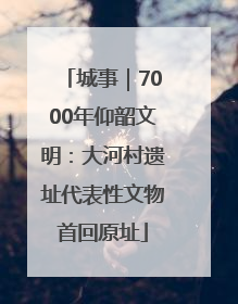 城事｜7000年仰韶文明：大河村遗址代表性文物首回原址