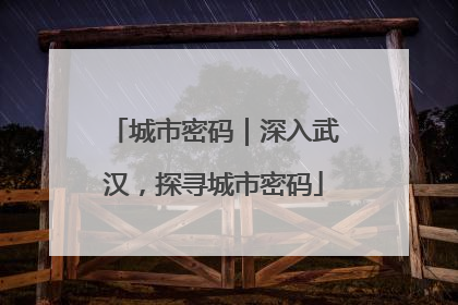 城市密码｜深入武汉，探寻城市密码