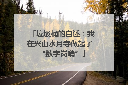 垃圾桶的自述：我在兴山水月寺做起了“数字岗哨”
