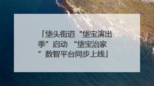 垡头街道“垡宝演出季”启动 “垡宝治家”数智平台同步上线