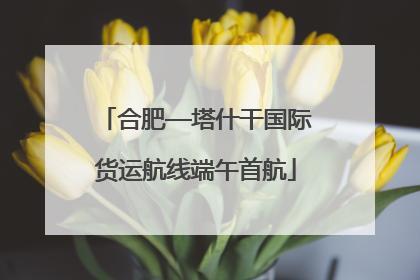合肥—塔什干国际货运航线端午首航
