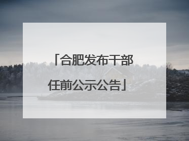 合肥发布干部任前公示公告