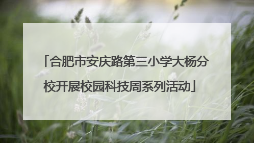 合肥市安庆路第三小学大杨分校开展校园科技周系列活动