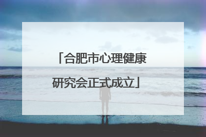 合肥市心理健康研究会正式成立