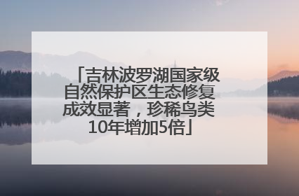 吉林波罗湖国家级自然保护区生态修复成效显著，珍稀鸟类10年增加5倍
