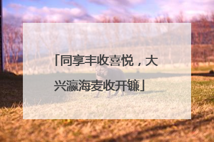 同享丰收喜悦，大兴瀛海麦收开镰