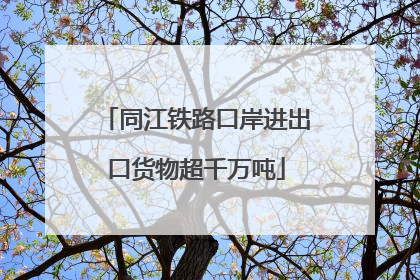 同江铁路口岸进出口货物超千万吨