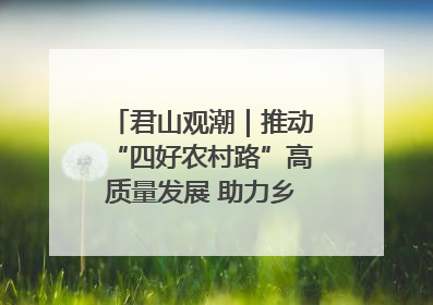 君山观潮｜推动“四好农村路”高质量发展 助力乡村振兴出新彩