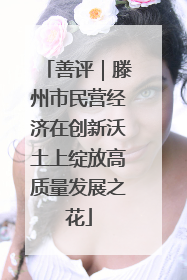 善评｜滕州市民营经济在创新沃土上绽放高质量发展之花