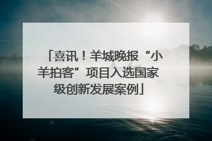 喜讯！羊城晚报“小羊拍客”项目入选国家级创新发展案例