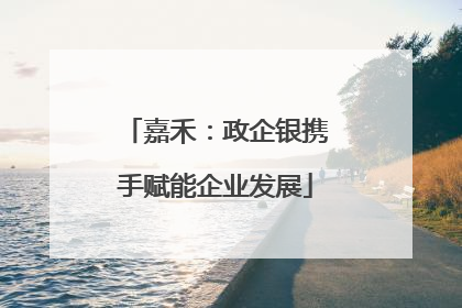 嘉禾：政企银携手赋能企业发展