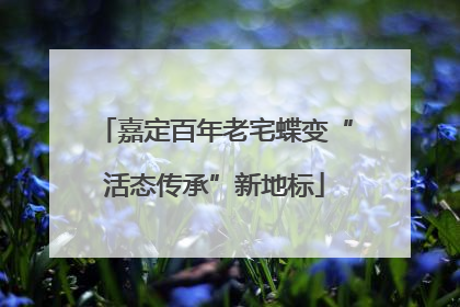 嘉定百年老宅蝶变“活态传承”新地标