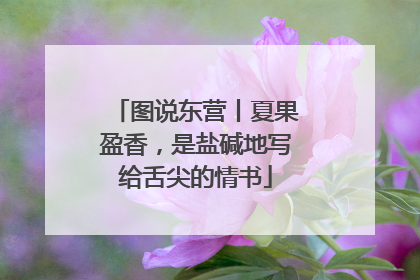 图说东营丨夏果盈香，是盐碱地写给舌尖的情书