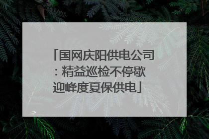 国网庆阳供电公司：精益巡检不停歇 迎峰度夏保供电