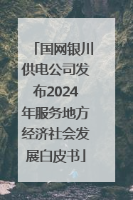 国网银川供电公司发布2024年服务地方经济社会发展白皮书