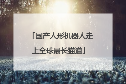 国产人形机器人走上全球最长猫道