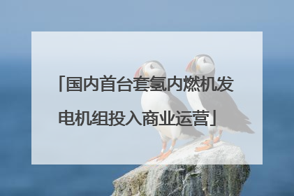 国内首台套氢内燃机发电机组投入商业运营
