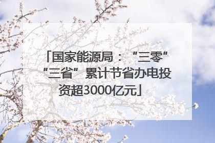 国家能源局：“三零”“三省”累计节省办电投资超3000亿元