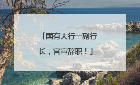 国有大行一副行长，官宣辞职！