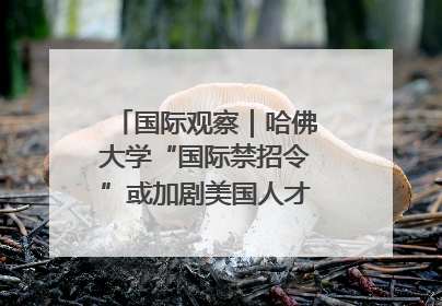 国际观察｜哈佛大学“国际禁招令”或加剧美国人才“出走潮”