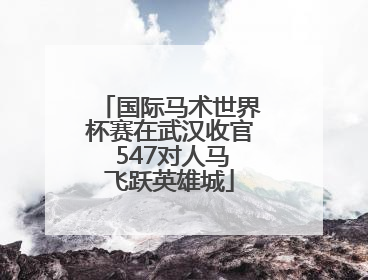 国际马术世界杯赛在武汉收官 547对人马飞跃英雄城