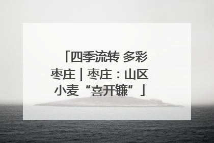 四季流转 多彩枣庄｜枣庄：山区小麦“喜开镰”