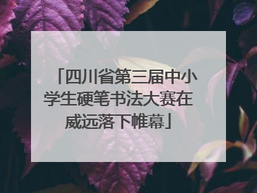 四川省第三届中小学生硬笔书法大赛在威远落下帷幕