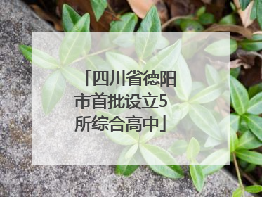 四川省德阳市首批设立5所综合高中