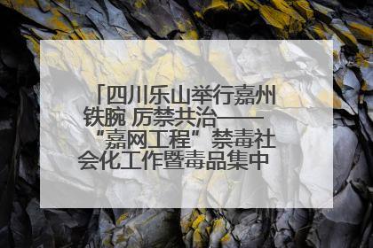 四川乐山举行嘉州铁腕 厉禁共治——“嘉网工程”禁毒社会化工作暨毒品集中销毁启动仪式