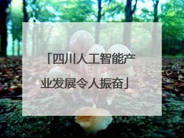 四川人工智能产业发展令人振奋
