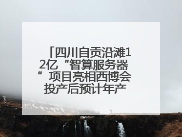 四川自贡沿滩12亿“智算服务器”项目亮相西博会 投产后预计年产值达15亿元