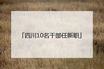 四川10名干部任新职