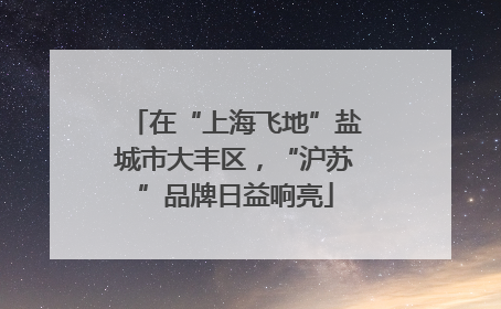 在“上海飞地”盐城市大丰区，“沪苏”品牌日益响亮