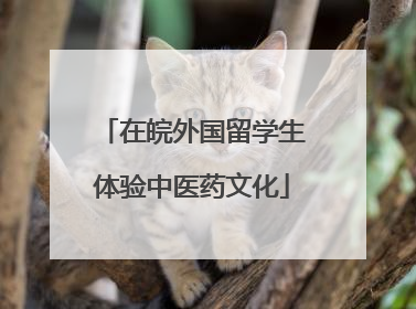 在皖外国留学生体验中医药文化