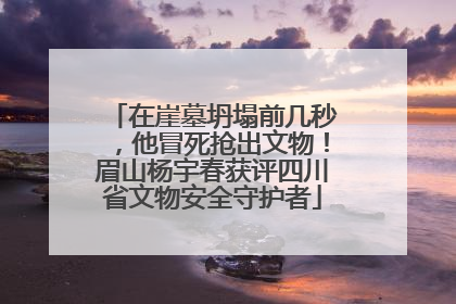 在崖墓坍塌前几秒，他冒死抢出文物！眉山杨宇春获评四川省文物安全守护者