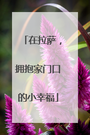 在拉萨，拥抱家门口的小幸福