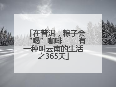 在普洱，粽子会“喝”咖啡——有一种叫云南的生活之365天