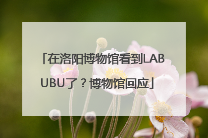 在洛阳博物馆看到LABUBU了？博物馆回应