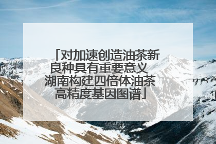 对加速创造油茶新良种具有重要意义 湖南构建四倍体油茶高精度基因图谱