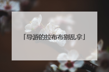 导游的拉布布别乱拿