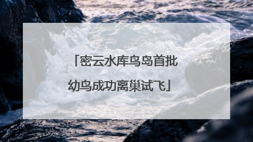 密云水库鸟岛首批幼鸟成功离巢试飞